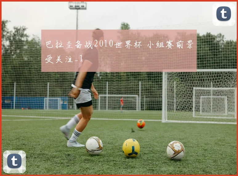 巴拉圭备战2010世界杯 小组赛前景受关注_1