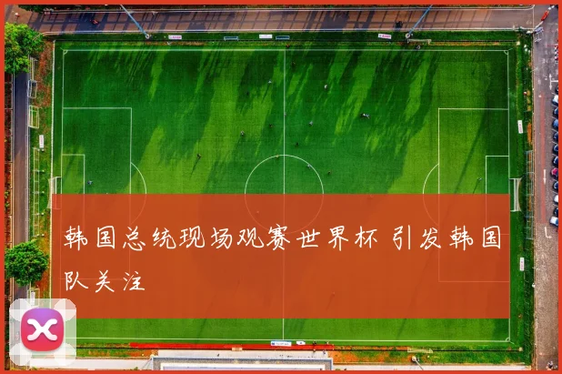 韩国总统现场观赛世界杯 引发韩国队关注