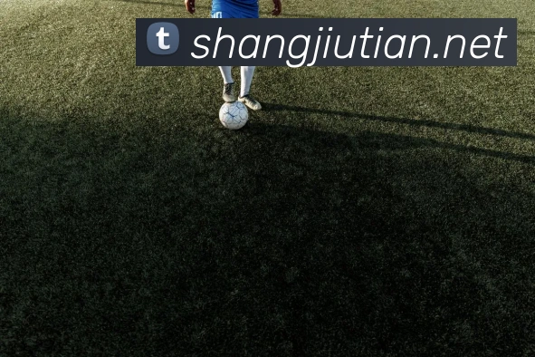 奖项证书